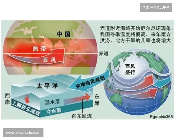 网球比赛期间天气变化预测与应对策略分析